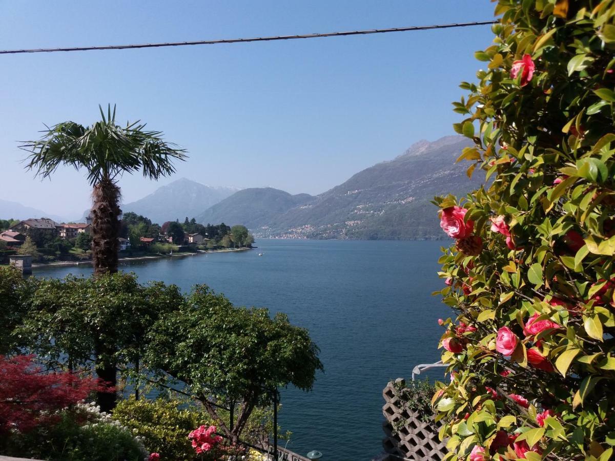 Villa Plinio Lago Di Como Dervio Luaran gambar